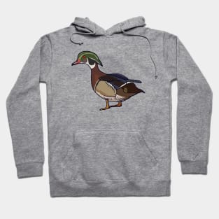 Drawing of a wood duck Hoodie